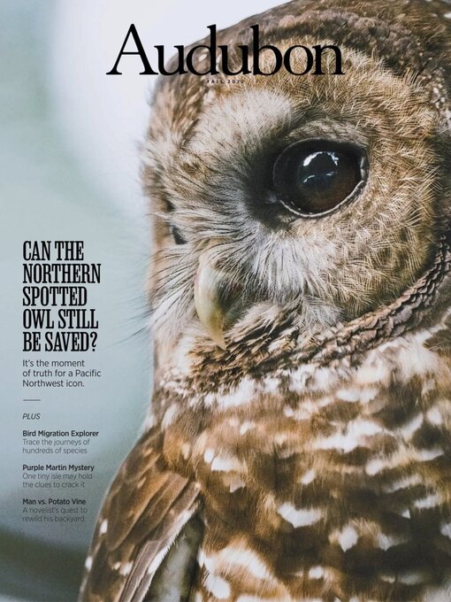 Title details for Audubon Magazine by National Audubon Society - Available